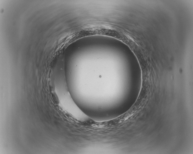 X0000059230965200511041237