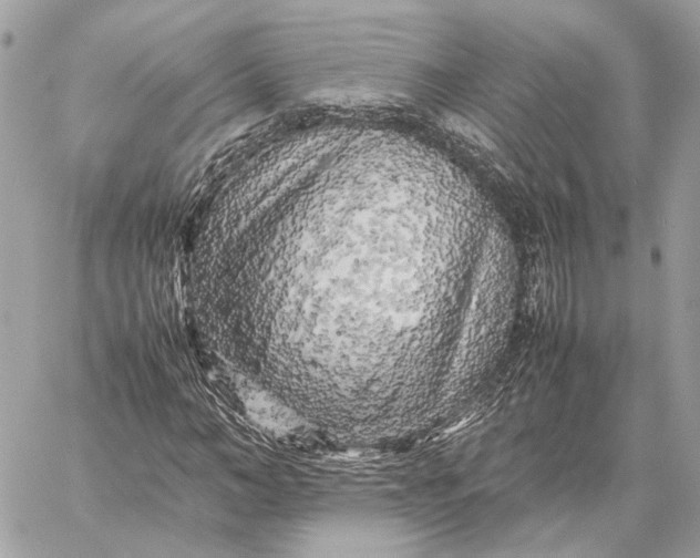 X0000059230966200511041237