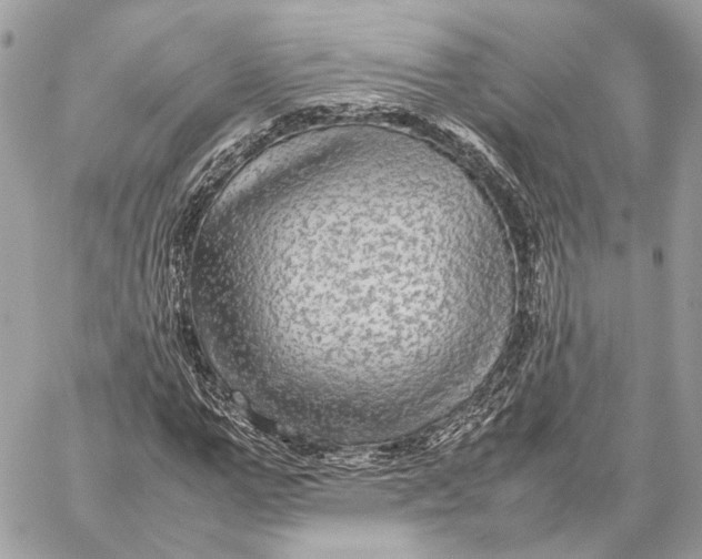 X0000059230967200511041237