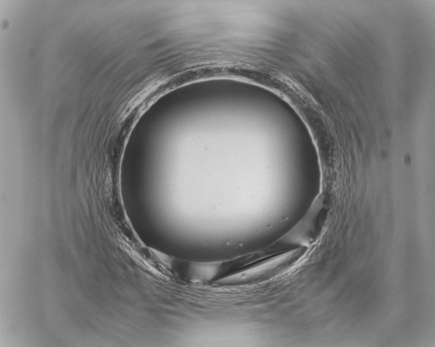 X0000059230969200511041237