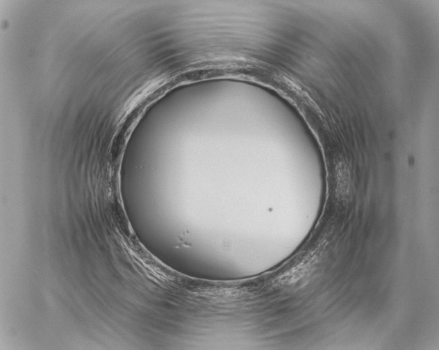 X0000059230970200511041237