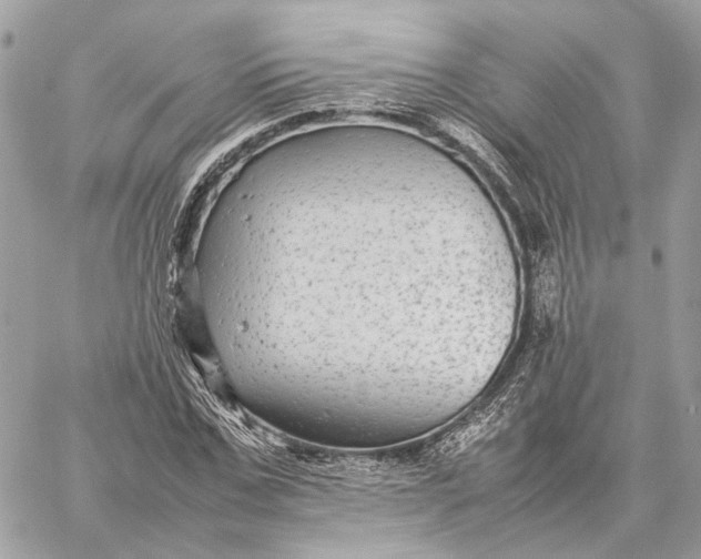 X0000059230971200511041237