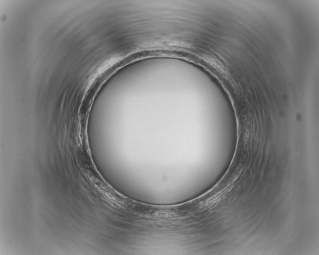 X0000059230974200511041237