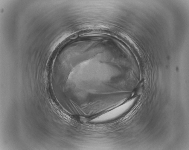 X0000059230975200511041237