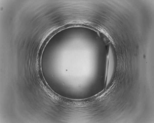 X0000059230976200511041237