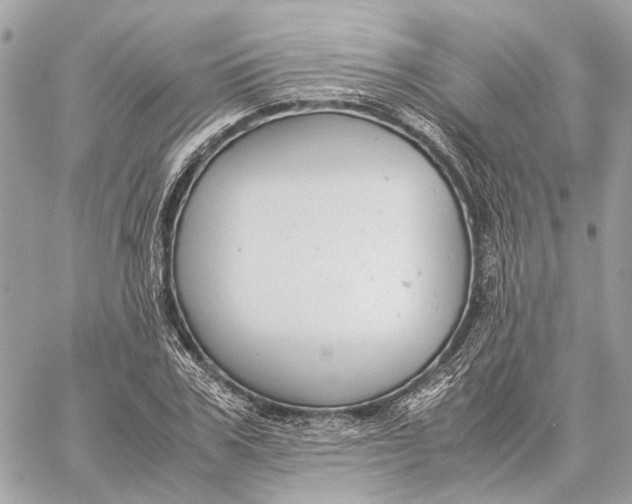 X0000059230979200511041237