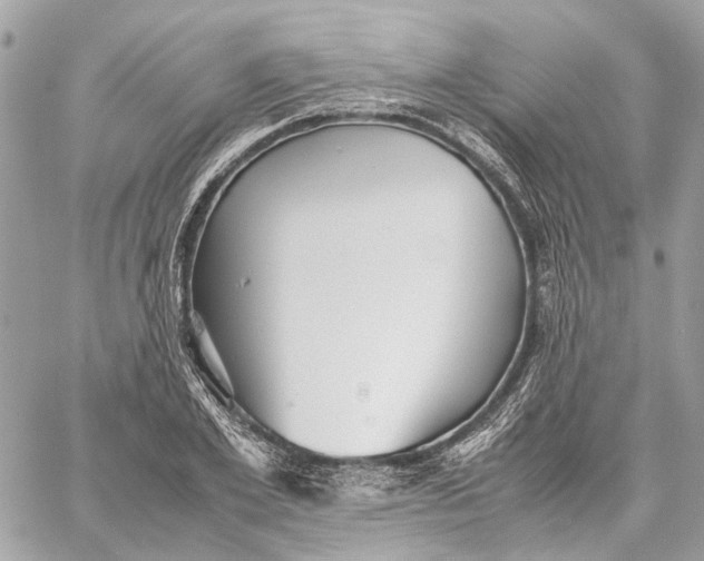 X0000059230981200511041237