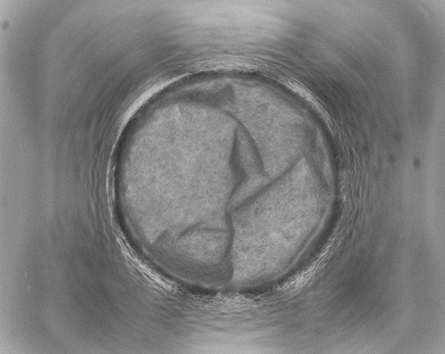 X0000059230983200511041237