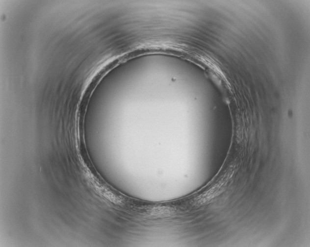 X0000059230984200511041237