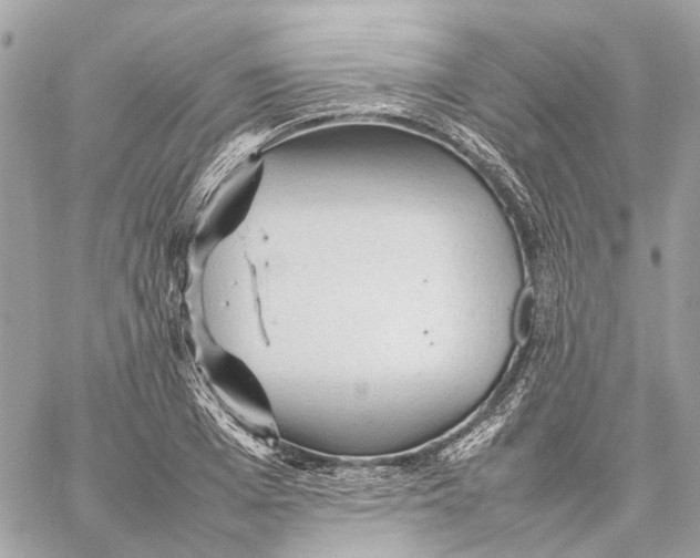 X0000059230985200511041237