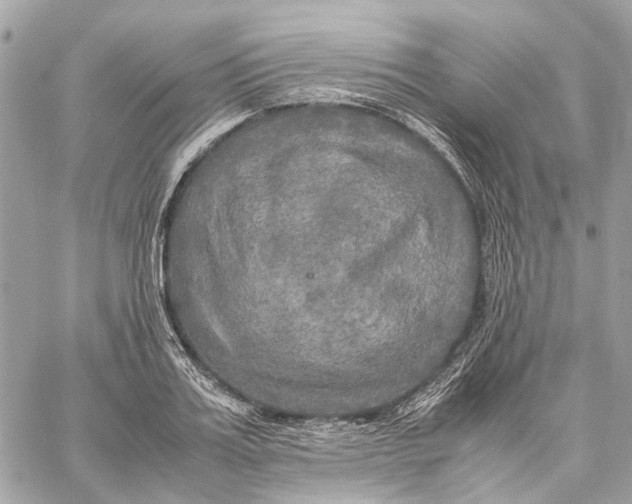 X0000059230987200511041237