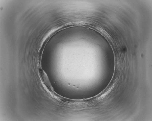 X0000059230989200511041237