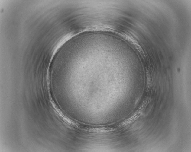 X0000059230990200511041237