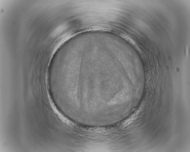 X0000059230991200511041237