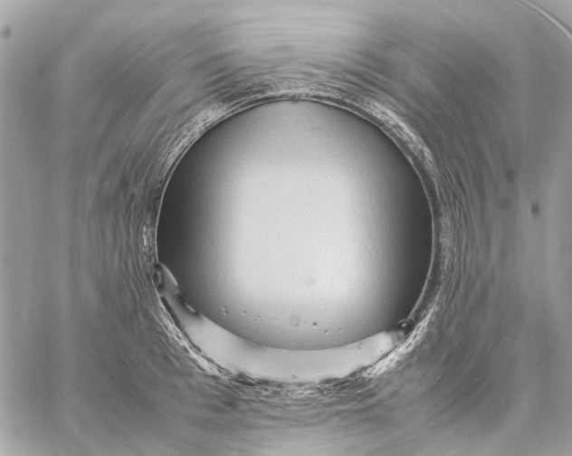 X0000059230993200511041237