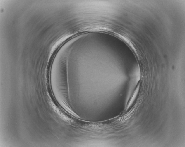 X0000059230995200511041237