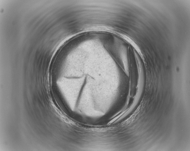 X0000059230996200511041237