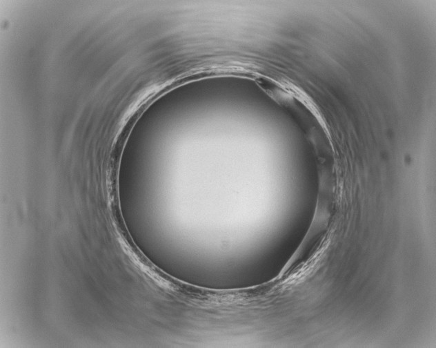 X0000059230997200511041237