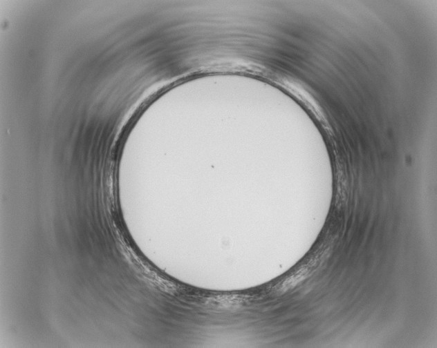 X0000059231000200511041237