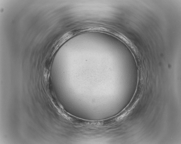 X0000059231001200511041237