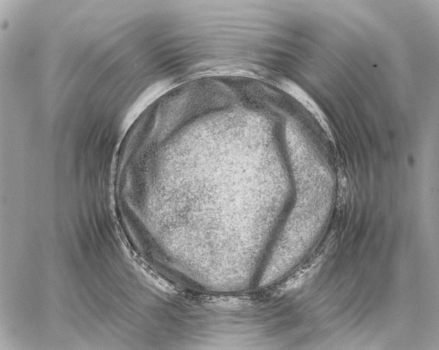 X0000059231002200511041237