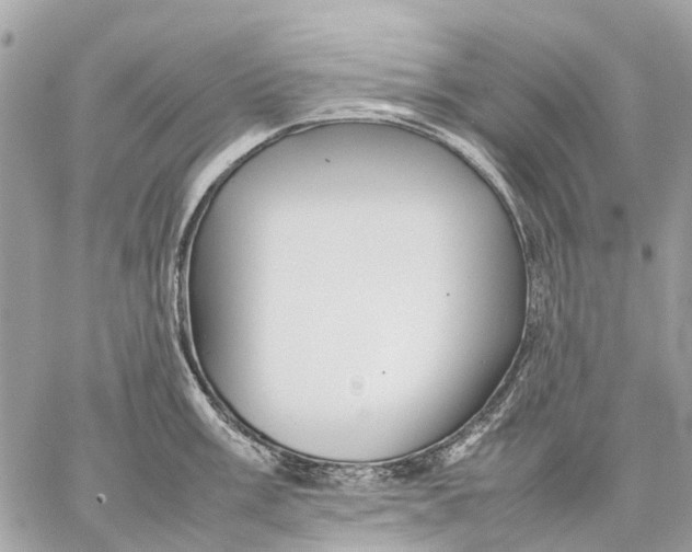 X0000059231003200511041237