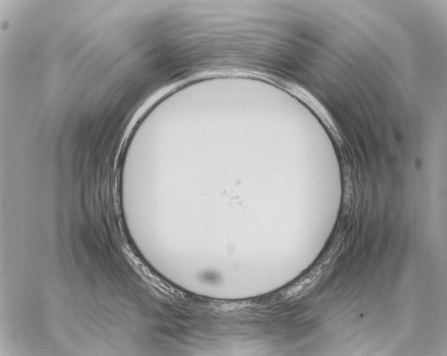 X0000059231004200511041237