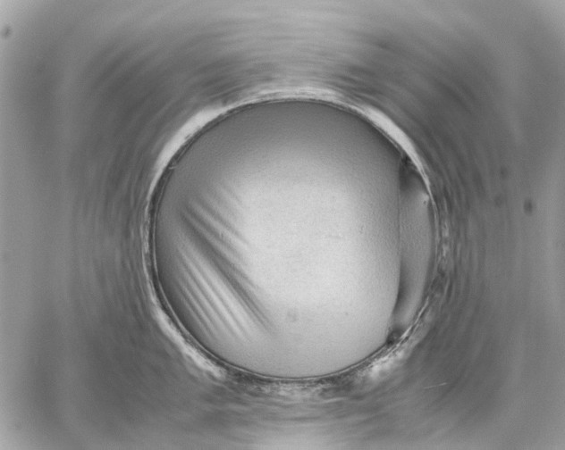 X0000059231005200511041237