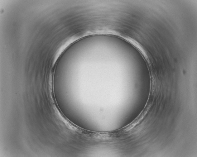 X0000059231006200511041237