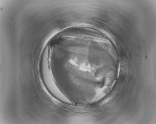 X0000059231007200511041237