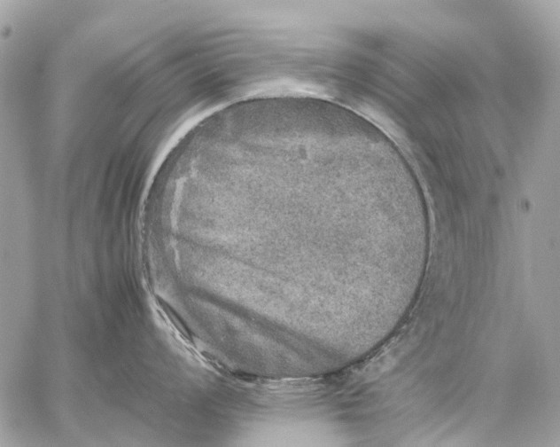 X0000059231008200511041237