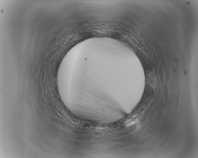 X0000059231009200511041236