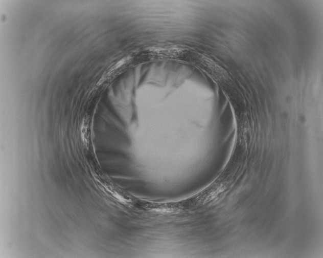 X0000059231010200511041236