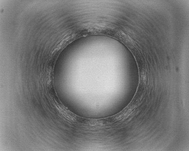 X0000059231012200511041236