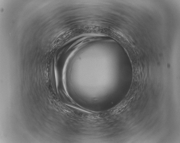 X0000059231013200511041236