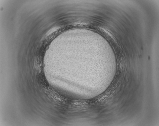 X0000059231015200511041236