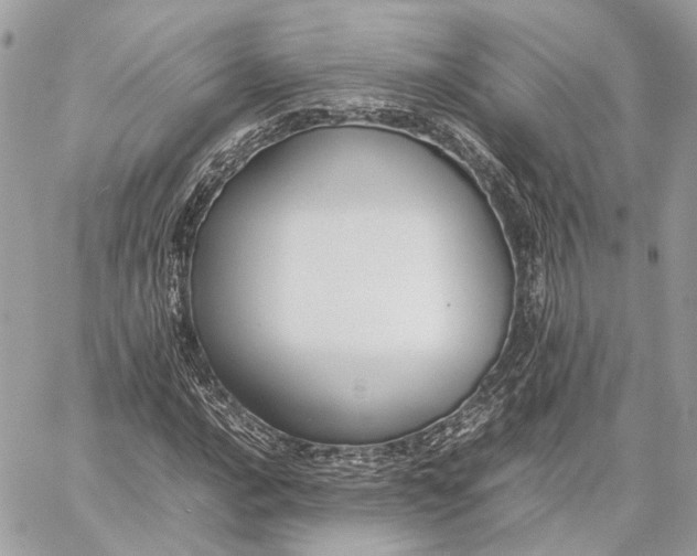 X0000059231016200511041236