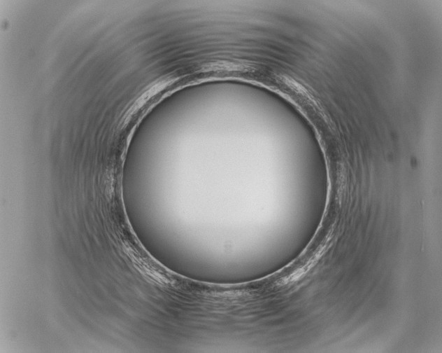 X0000059231017200511041236