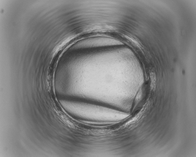 X0000059231018200511041236