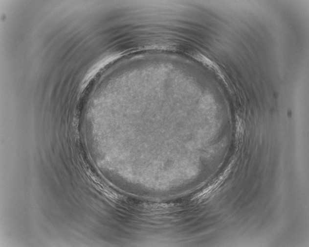 X0000059231019200511041236