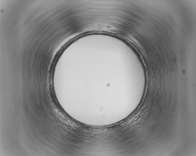 X0000059231020200511041236