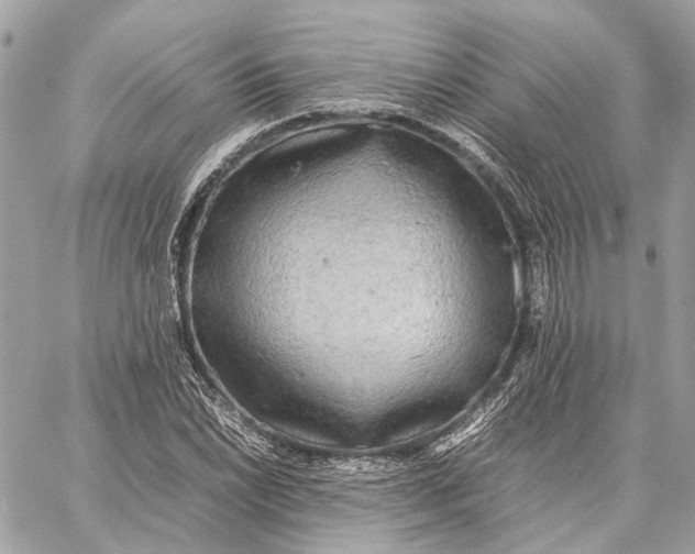 X0000059231022200511041236