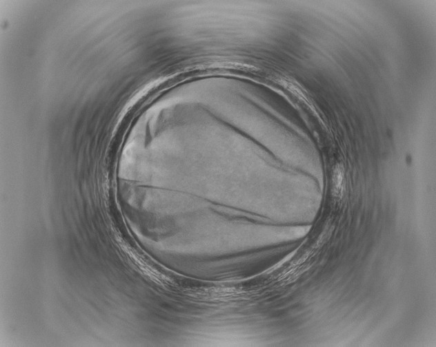 X0000059231024200511041236