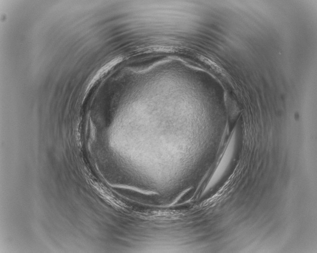 X0000059231026200511041236