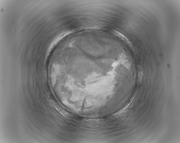 X0000059231027200511041236