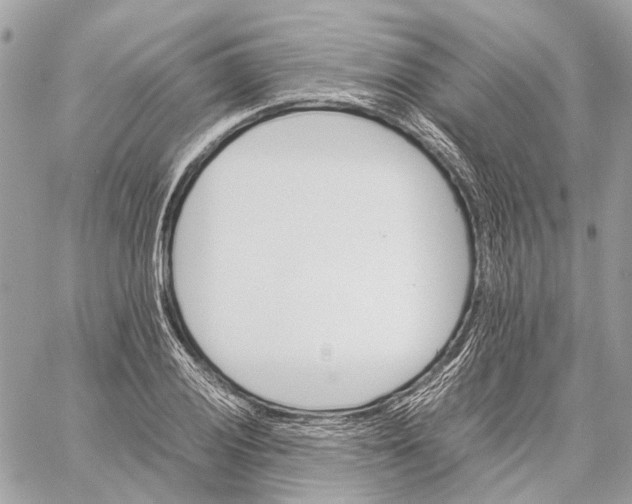 X0000059231028200511041236