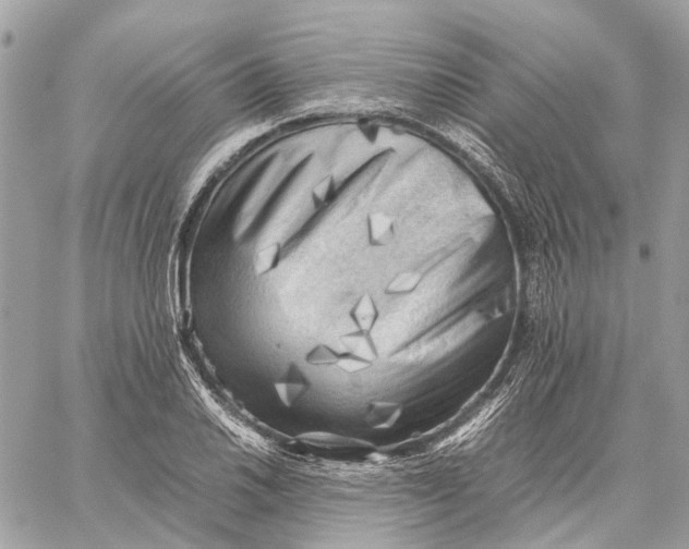 X0000059231030200511041236