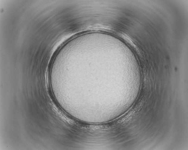 X0000059231032200511041236