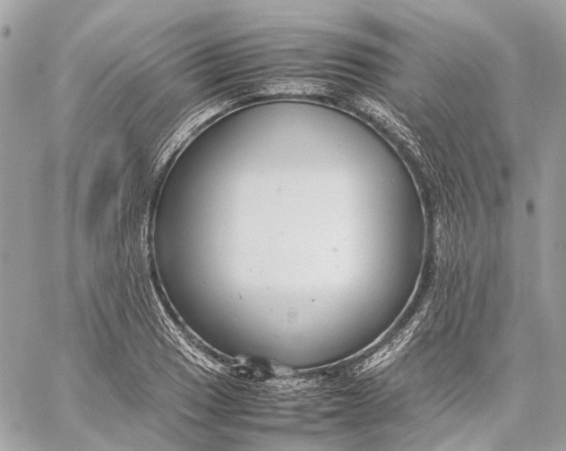 X0000059231033200511041236