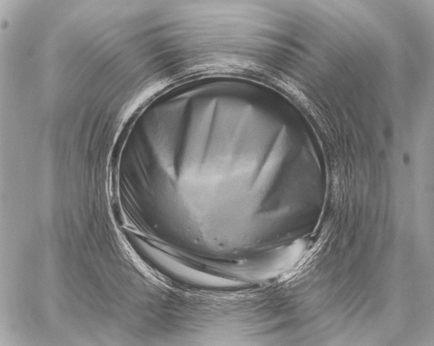 X0000059231034200511041236